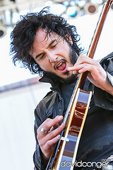 Reignwolf