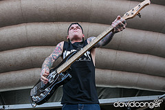 The Amity Affliction